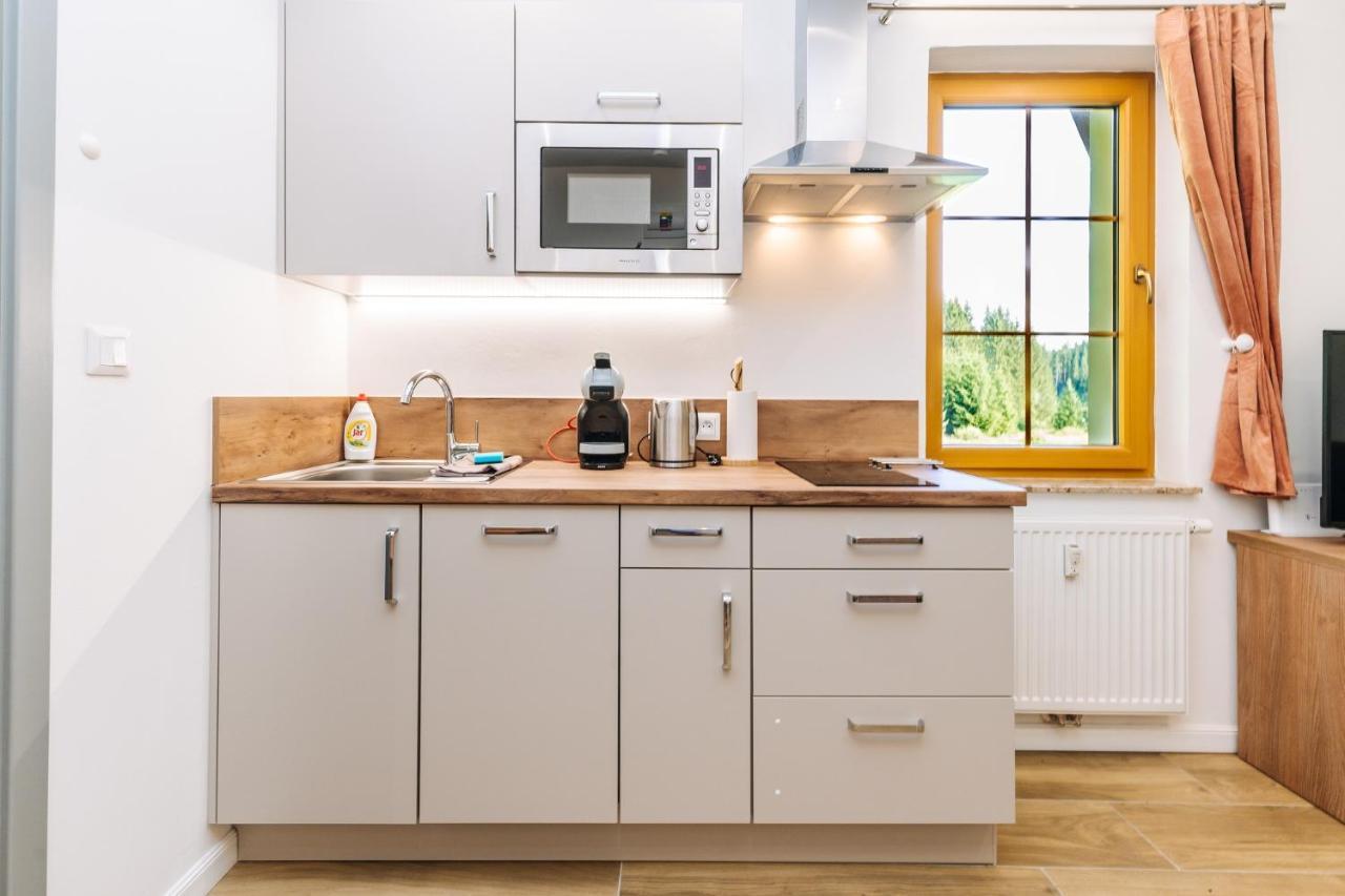 Apartment Hugo Blatna Horní Blatná 外观 照片